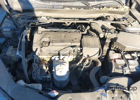 2019 Acura Tlx Standard из США, поврежденный, VIN 19UUB1F34KA000391